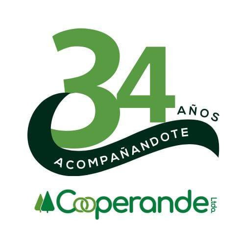 Descripción de la imagen